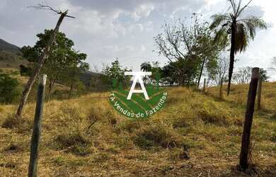 Imagem 10: Fazenda de 17 alq em Goias-GO