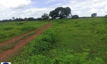 Imagem 3: Fazenda à Venda em Amorinópolis/GO 84 Alqueires