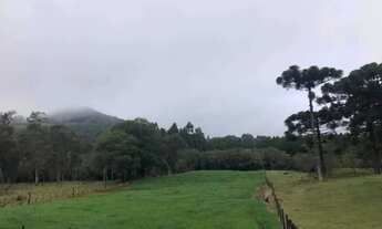 Imagem 4: Sitio - Bairro Serra Grande