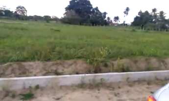 Imagem 2: Vendo terrenos na terra dura