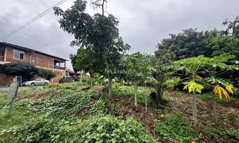 Imagem 5: Imóvel no Vinte e Cinco de Julho, Ivoti