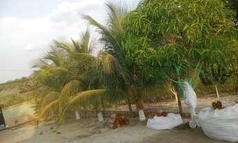 Imagem 6: Lindo terreno medindo 40x80 no Distrito Industrial 2 - zona Leste de Manaus,