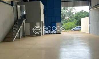 Imagem 3: Galpão para aluguel, Dona Zulmira - Uberlândia/MG