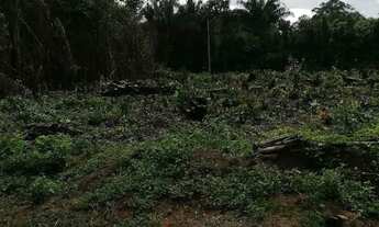 Imagem 4: Chácara 20×50 1000m