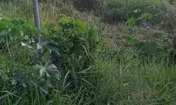 Imagem 7: Lote em Rua Escritor João Cabral de Melo Neto - Belvedere - Ribeirão das Neves/MG