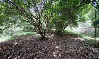 Imagem 5: Chácara 38 hectáres na região de Gameleira e Mucambinho, MUITA ÁGUA