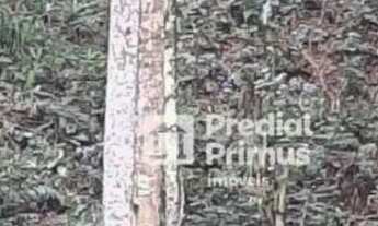 Imagem 4: Terreno à venda, 1345 m² por R$ 280.000,00 - Parque Imperial - Nova Friburgo/RJ