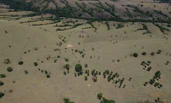 Imagem 5: Fazenda 23, 5 alq. Versátil à Venda em Corumbá de Goiás