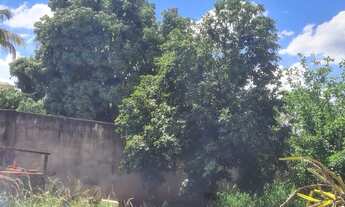 Imagem 3: Vendo chácara toda murada só terreno s/casa