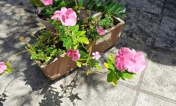 Imagem: Alugo uma linda casa Lucena