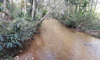 Imagem 7: Área rural próximo a Matilde (chácaras 20.000m com escritura