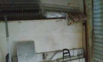 Imagem 4: Alugo loja em cavaleiro