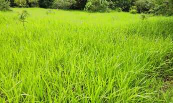 Imagem 3: OPORTUNIDADE. Troco Chácaras de 10.000 de Dez mil metros por imóveis urbanos