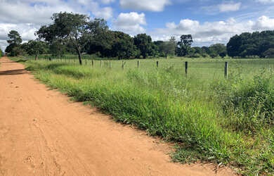 Imagem 4: Chácaras Bonanza - 10.000 mts