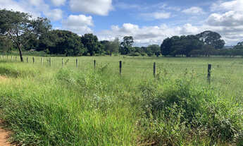 Imagem 3: Chácaras Bonanza - 10.000 mts