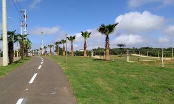 Imagem 2: Terreno/lote residencial residencial para venda, Centro, Viamão - TE0469