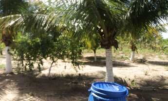 Imagem: Granja conde / Jacumã