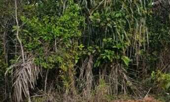 Imagem 7: TERRENO undefined em CAMAÇARI - BA, COQUEIROS DE AREMBEPE (ABRANTES