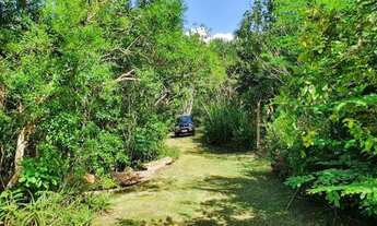 Imagem 6: Florianópolis - Sítio - Vargem Pequena