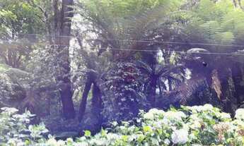 Imagem 2: Terreno no Alpes Verdes em Canela!