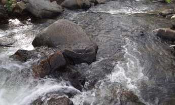 Imagem 14: Vendo Linda Chácara Ecológica Guarani de Goiás GO