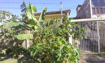 Imagem 2: Porto Alegre - Casa Padrão - Ipanema