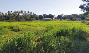 Imagem 2: Chácara à Venda no Conde - Litoral Norte da Bahia - Conde