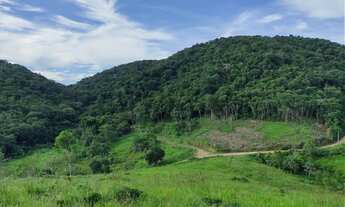 Imagem 2: Sítio 9 Alqueires, Pasto, Nascentes (Willian Ricardo