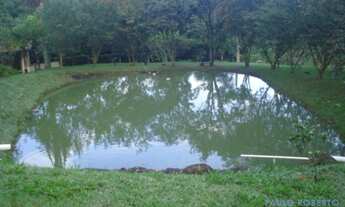 Imagem 7: CHACARA - PARQUE VALINHOS - SP