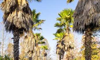 Imagem 3: CASA RESIDENCIAL em JUNDIAÍ - SP, IVOTURUCAIA