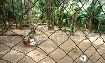 Imagem 7: Chácara 3.000 m²