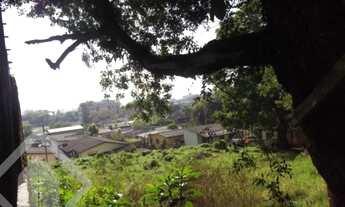 Imagem 5: PORTO ALEGRE - Terreno Padrão - Camaquã