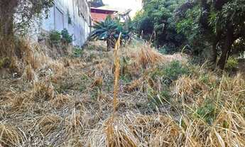 Imagem: Venda Lote-Área-Terreno Palmeiras Belo