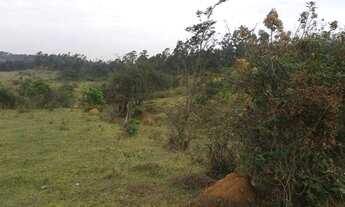 Imagem 3: Área residencial à venda, Pedregulho, Itu