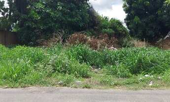 Imagem: TERRENO CAUAMÉ PROXIMO SHOPING