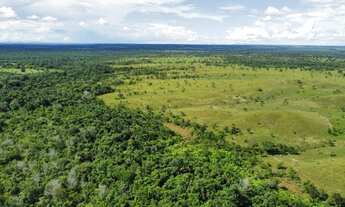 Imagem 5: Fazenda em Araguacema, Tocantins