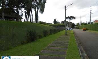 Imagem 6: Casa 5 Quartos Curitiba - PR - Campo Comprido