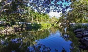 Imagem 2: Porto Alegre - Sítio - Lageado