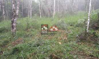 Imagem 4: Natividade da Serra - Terreno Padrao - Paraíbuna