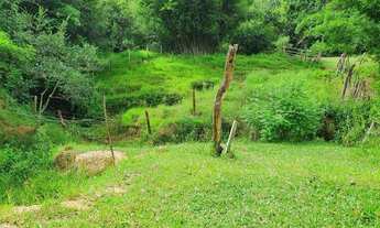 Imagem 5: Sítio para Venda, Silvas