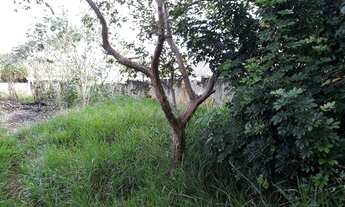 Imagem 4: Terreno residencial à venda, Engenheiro Neiva, Guaratinguetá