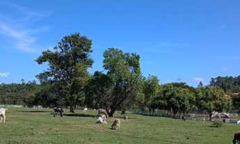 Imagem 4: Sítio de 55.000 m2 em Porangaba com lago grande, casa sede, casa de caseiro