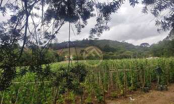 Imagem: Chácara com 1 dormitório à venda, 6050