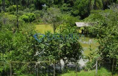 Imagem 3: Chácara em Condomínio para comprar Capão Grosso Jaboticatubas