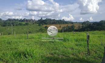 Imagem 5: Machadinho D'Oeste - Sítio - 12.5 Alqueires