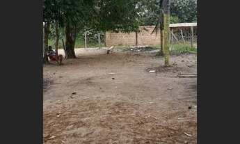 Imagem 3: TERRENO EM IRANDUBA KM 06