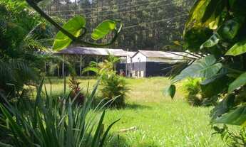 Imagem 2: Rural de 12000 metros quadrados no bairro Ipelândia com 3 quartos