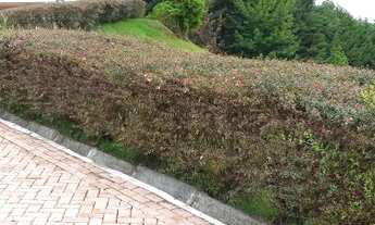 Imagem 6: Terreno para Venda em Campos do Jordão, Jardim das Perolas