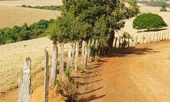 Imagem 3: Fazenda/sítios/chácaras com 2 dormitórios à venda em Três Pontas