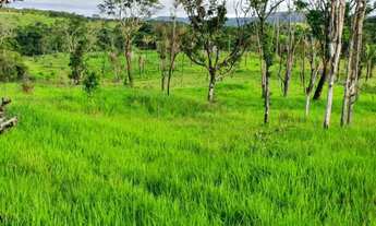 Imagem 5: Excelente Fazenda - Santo Antônio do Descoberto - GO